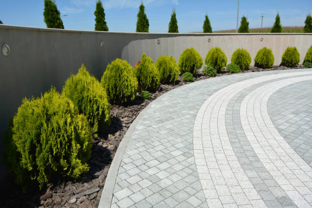Best Residential Driveway Paver Services  in Elwood, IL